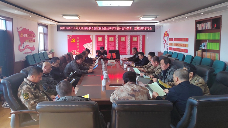 ４．１２南溝林場團(tuán)支部“誠信在崗 青年當(dāng)先”主題宣講活動 (3).jpg